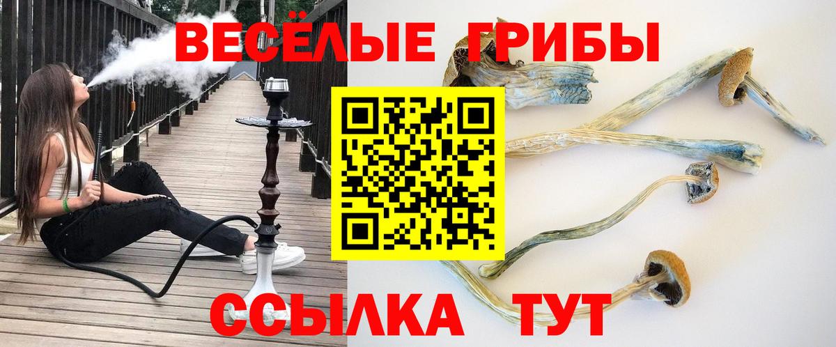 Якутск  Галлюциногенные грибы Psilocybine cubensis  Вход с VPN  Псилоцибиновые грибы ЛСД 
